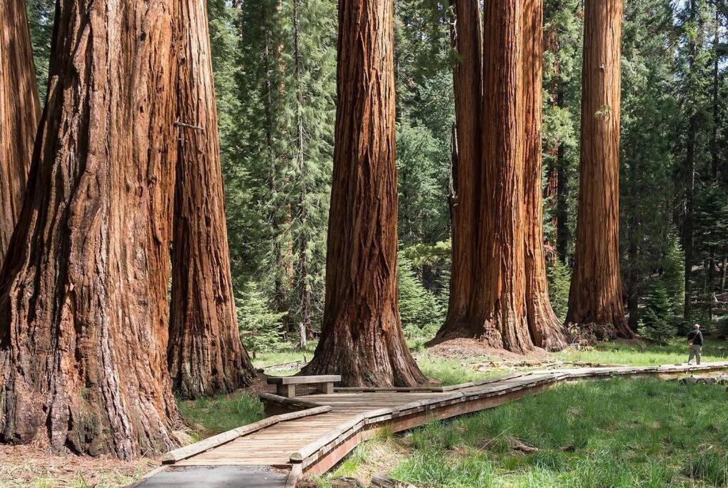 Sequoia Cabin By The River Three Rivers Luaran gambar