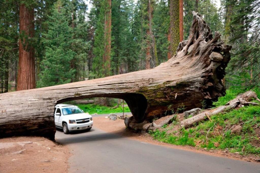 Sequoia Cabin By The River Three Rivers Luaran gambar