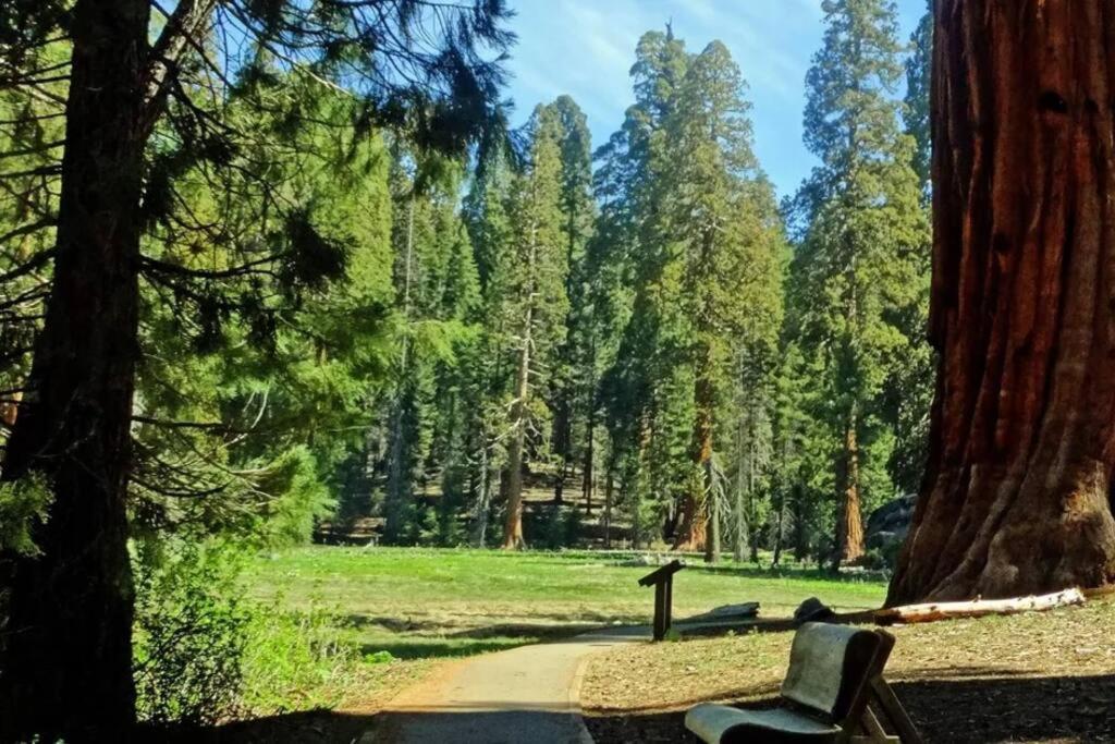Sequoia Cabin By The River Three Rivers Luaran gambar