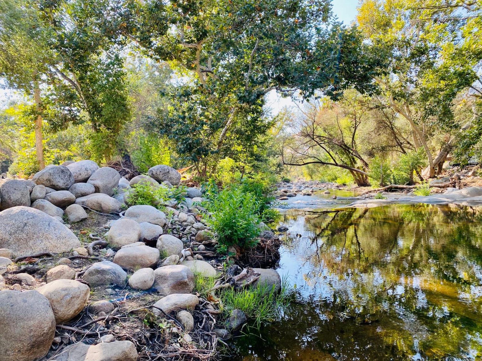 Sequoia Cabin By The River Three Rivers Luaran gambar