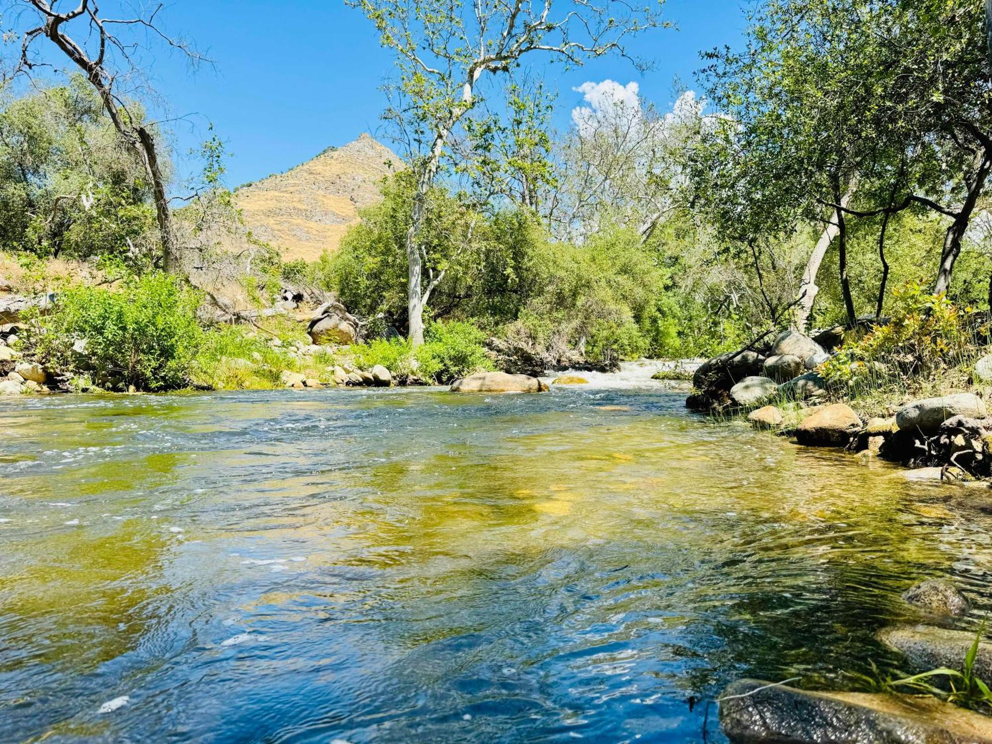 Sequoia Cabin By The River Three Rivers Luaran gambar